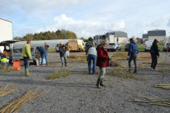 Création d'une prairie fleurie à Ollainville
