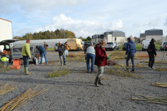 2023 - Création d'une prairie fleurie à Ollainville